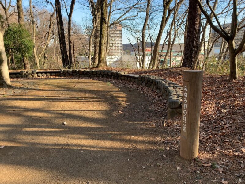 園路途中の広場