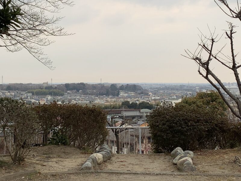 ふじみ公園からの景観