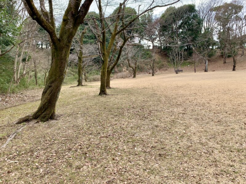 芝生の広場