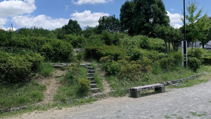 かしまだい公園の芝生エリエへ登る階段