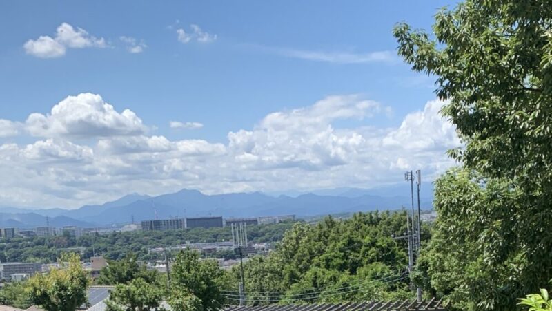 芝生エリアからの風景