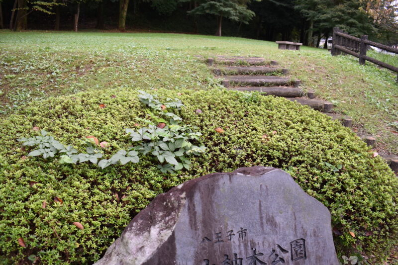 芝生の広場