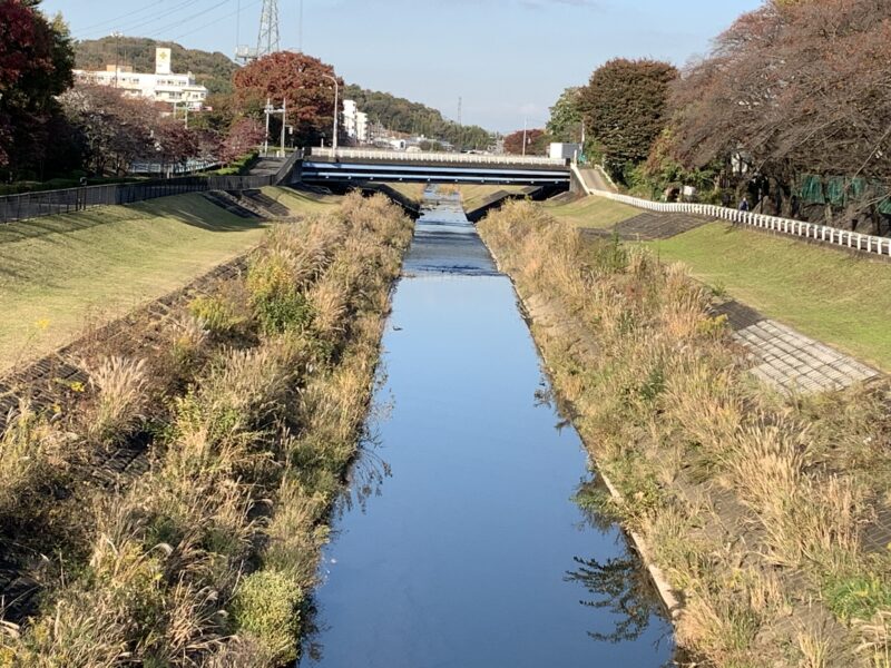 和田公園近くの大栗川