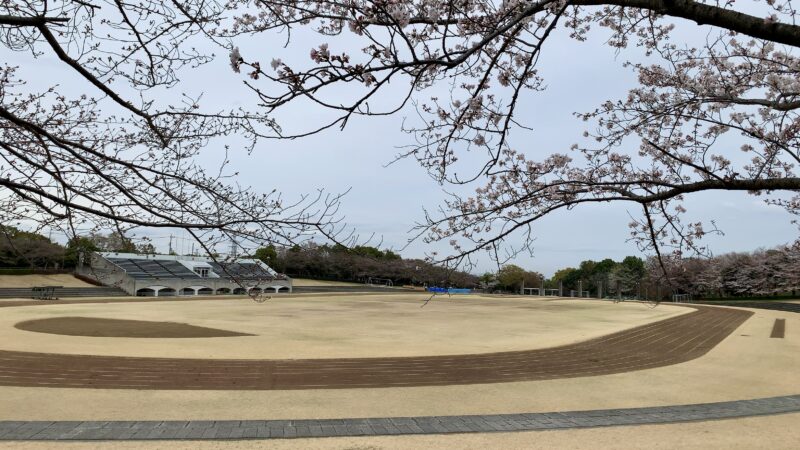 陸上競技場と桜