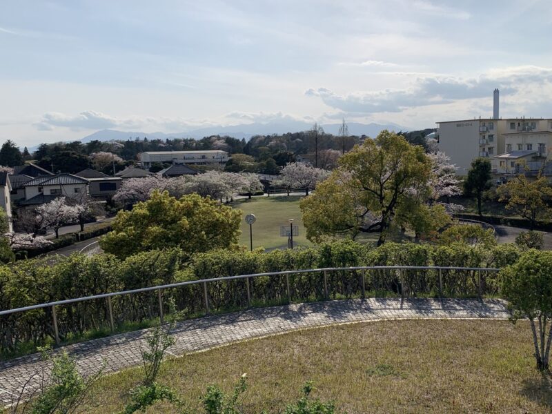 見晴らし台からの風景