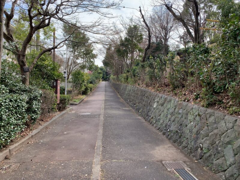 松が谷遊歩道1