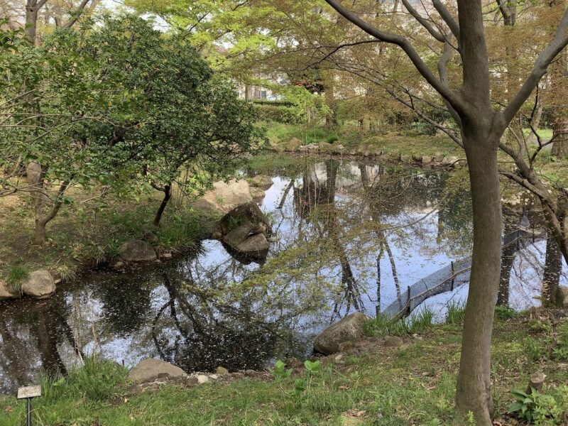 湿性植物ゾーン