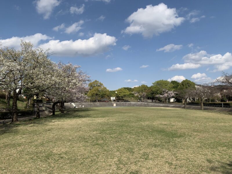 芝生の広場全景