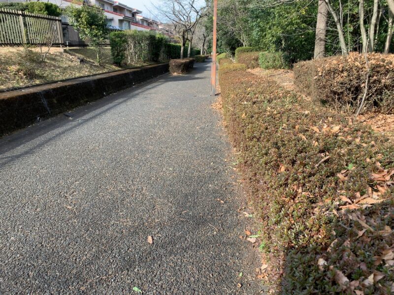 北側エリアへ続く歩道