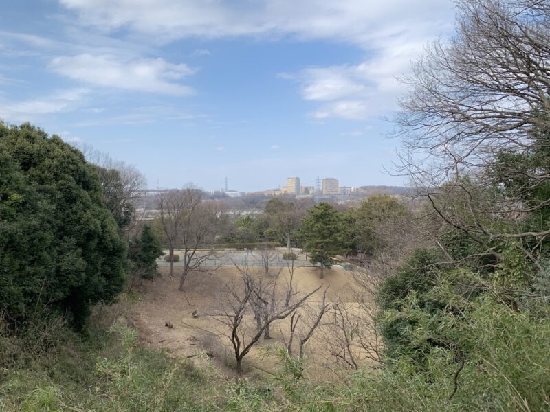 公園の展望