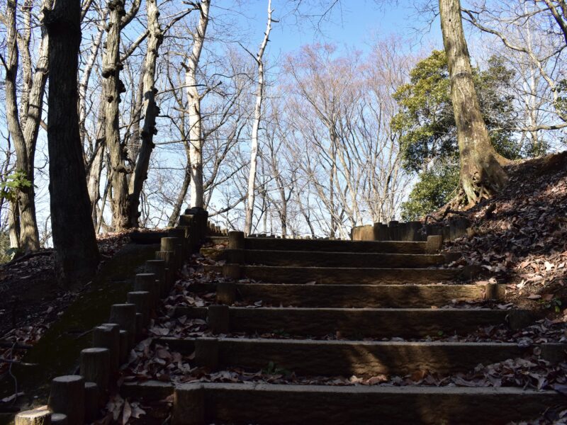 雑木林への階段