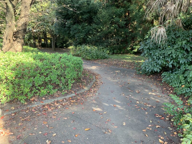 和田公園の通路