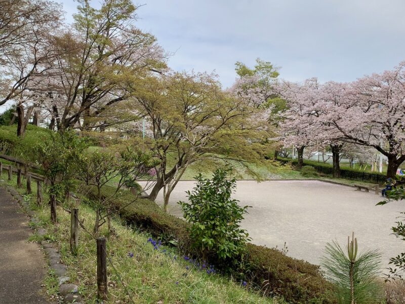 花の広場