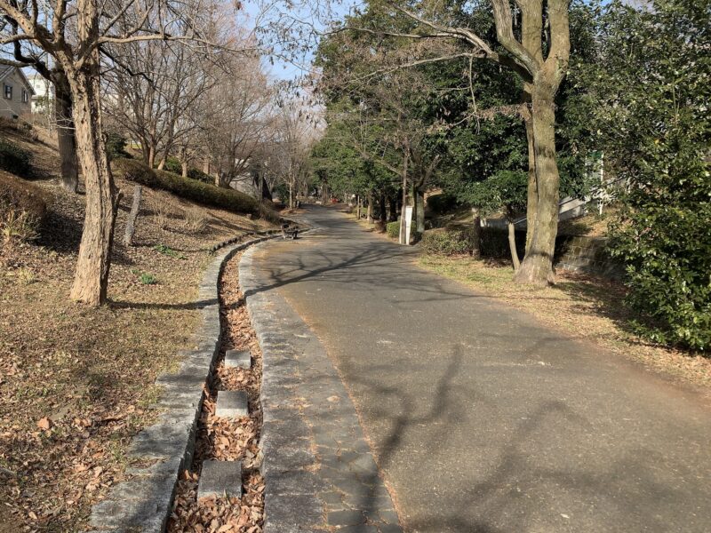 小学校脇の歩道