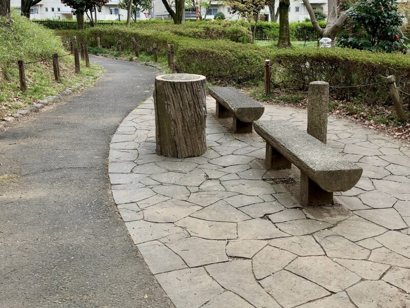 湿性植物ゾーンのベンチ