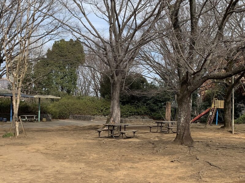 芝生広場のベンチと遊具