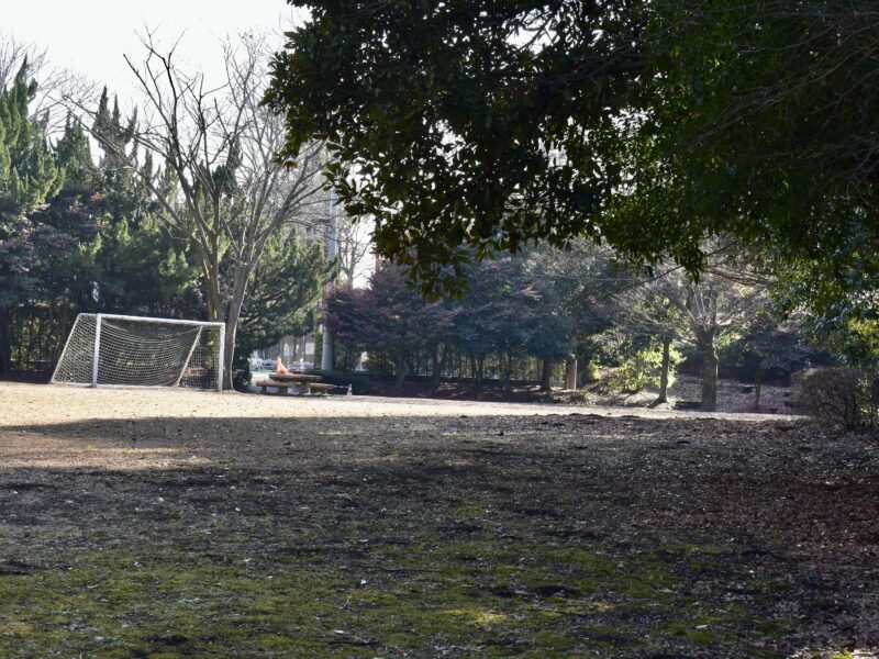 公園の芝生と日陰