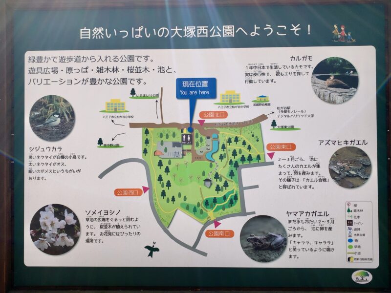 公園マップ