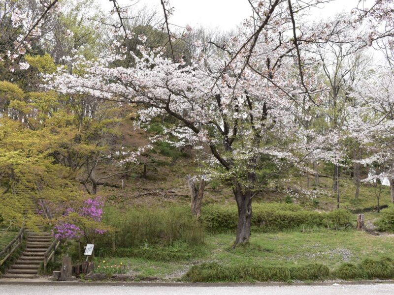 花の広場