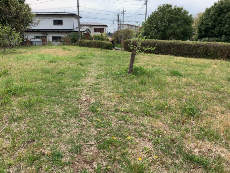 公園上側の広場