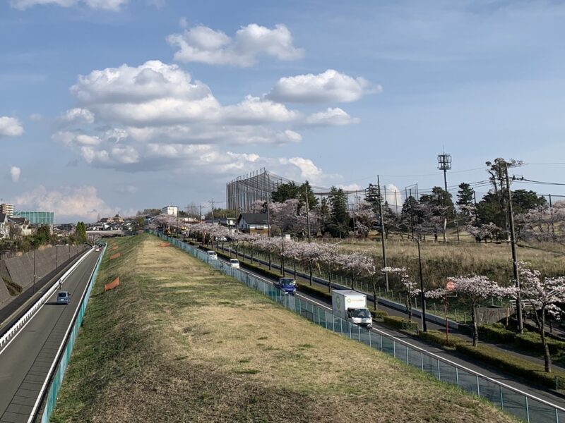 尾根幹道路