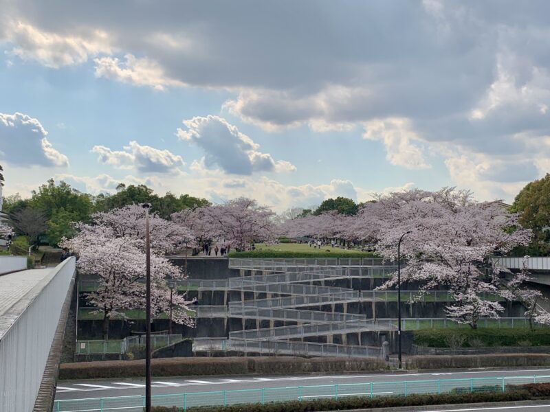 奈良原公園を望む