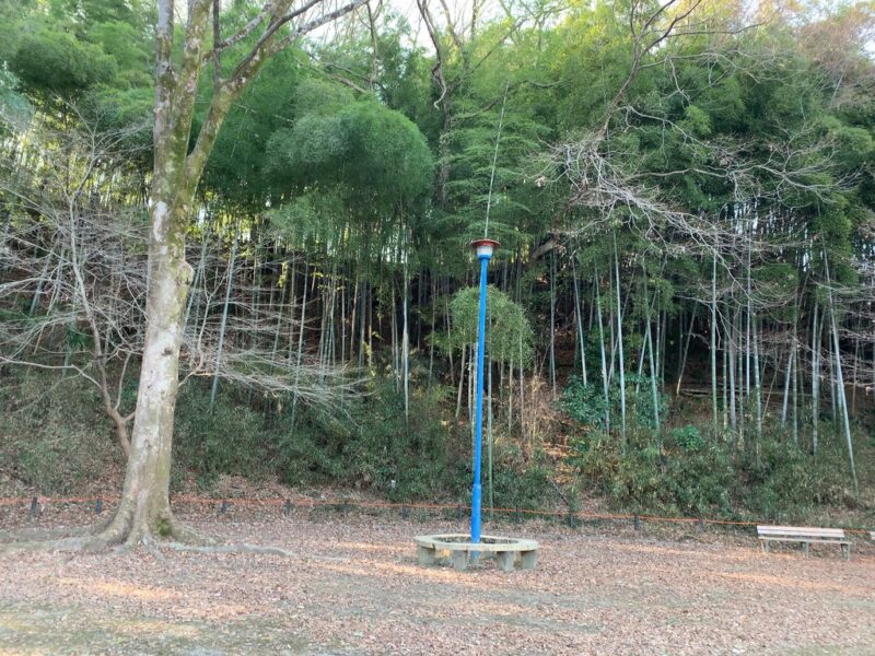 冬の公園風景2