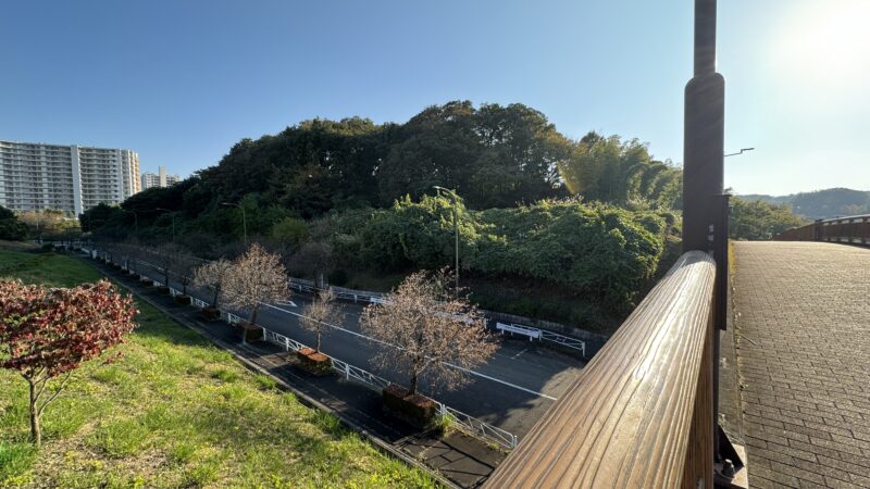 神子沢西歩道橋から鑓水公園を望む