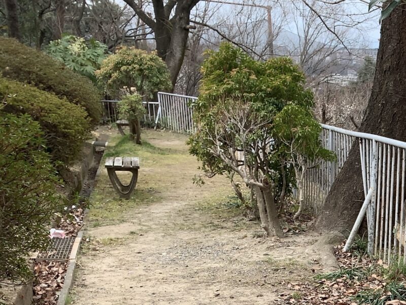 ふじみ公園のベンチ