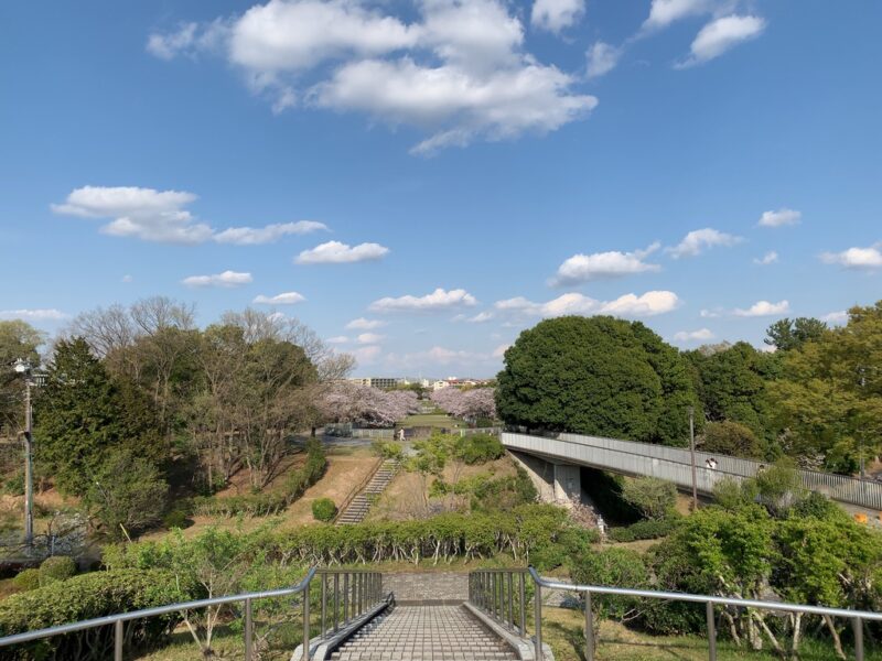 見晴らし台からの景色