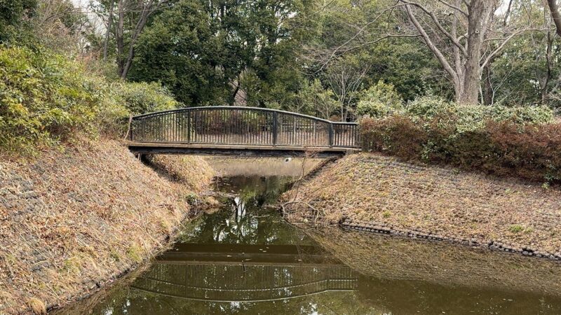 池にかかる橋