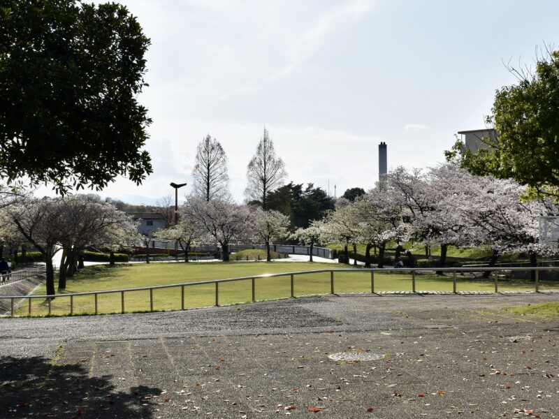 芝生の広場を見渡す